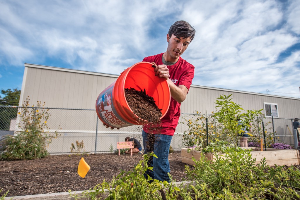 Legacy of Lowell -compost