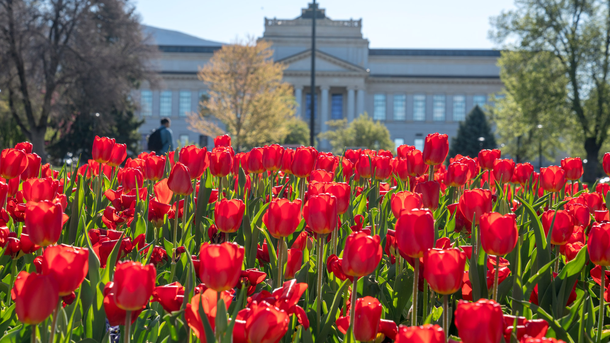 University Of Utah Spring 2022 Schedule Spring 2022 Back-To-School Town Hall | @Theu