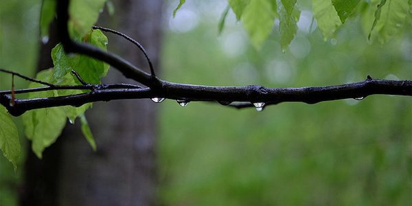 Science in the rain: Alexandra Ponette-Gonzalez
