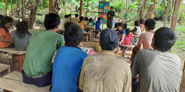 Remoteness didn’t protect Amazonian Tsimané from COVID-19