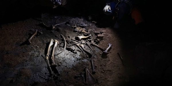 Caving for bones