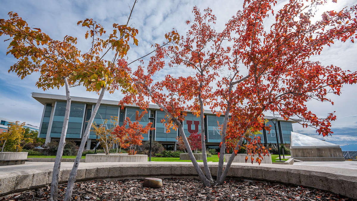 New task force to tackle perceptions of ideological bias on campus theU