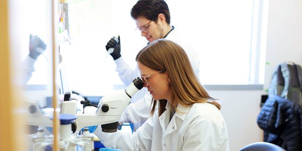 Nematode proteins shed light on infertility