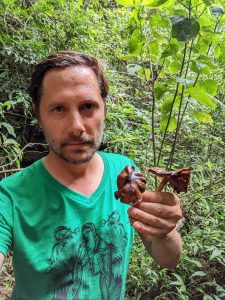 A man in a green T-shirt holds out a mushroom in a jungle environment.