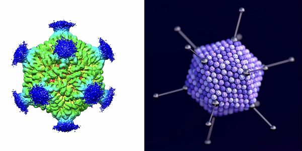 How cancer can trigger dementia