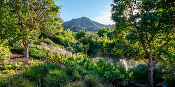 New speaker series cultivates wisdom and wonder