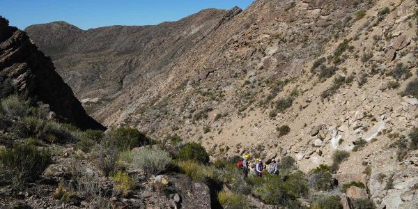 How to tell geologic time in the Triassic Period