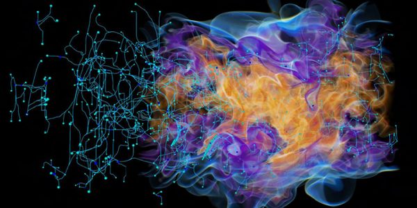 Moving science forward by imaging data