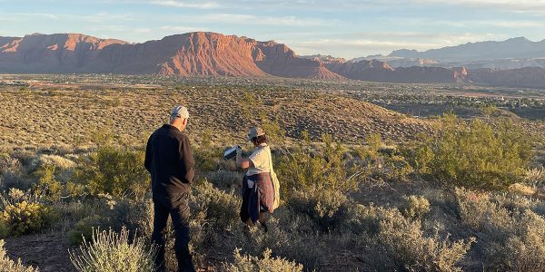 Hunting an underground epidemic