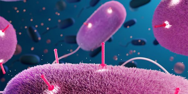 The promising world of bacteriophages, the pathogen’s pathogen