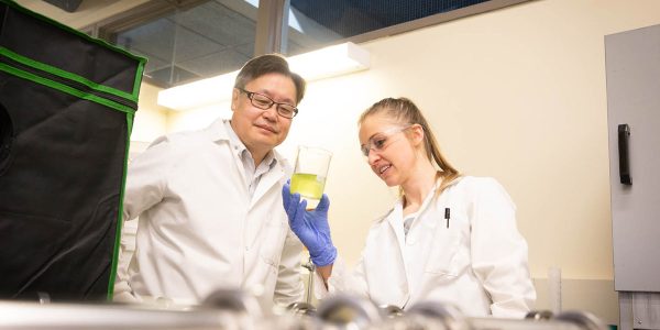 Nanobubbles: Tiny powerhouses with huge potential