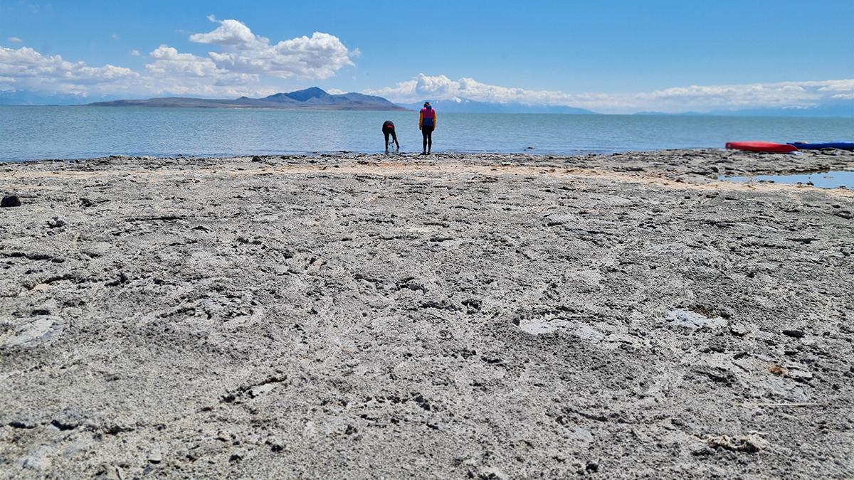 Utah is making progress on Great Salt Lake