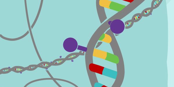 Beyond the genome