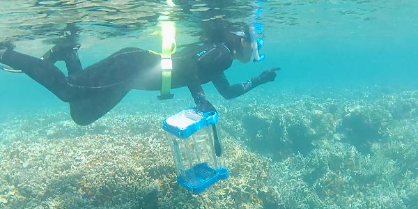 How marine snail venom can improve medicines