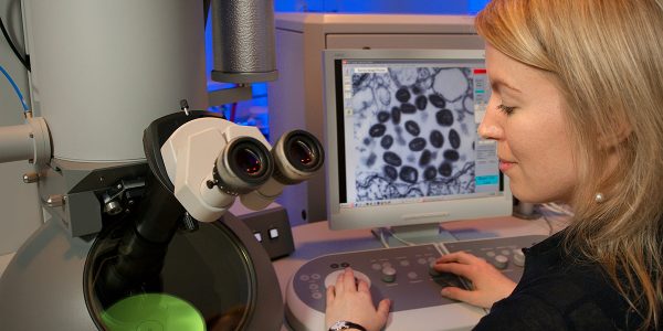 In search of new microscopy tools to observe how cells function