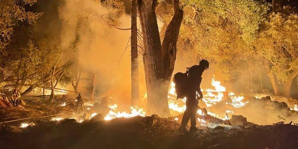 Wildland firefighters hit their STRIDE