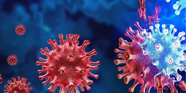 Seemingly ‘broken’ coronavirus genes may be essential for viral survival