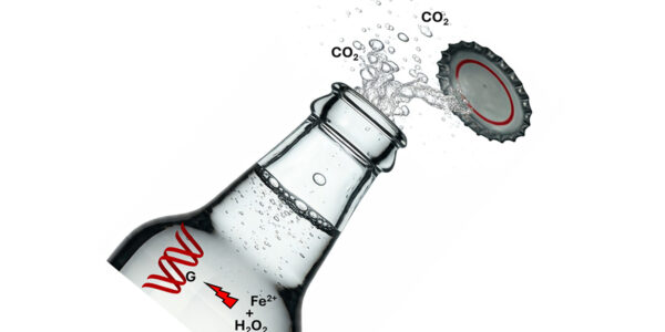 It might be wrecking the climate, but CO₂ is actually good for your cells