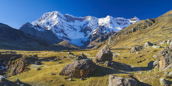 Discovery of gene linked to high-altitude adaptation may transform blood cancer care