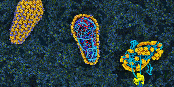 Anti-HIV drug U biochemist helped develop named Breakthrough of the Year