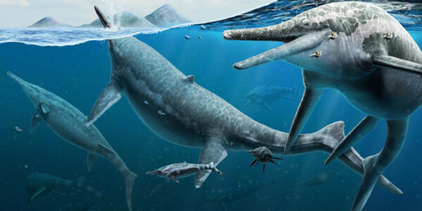 Dinosaur surf or turf: Unpacking Mesozoic misconceptions