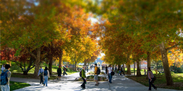 Student Affairs launches health and wellness questionnaire for incoming students