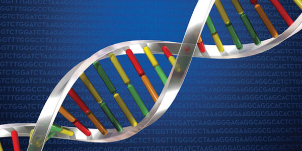 Parts of our DNA may evolve much faster than previously thought