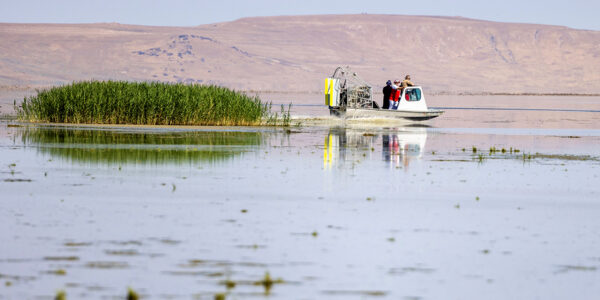 It may be stinky and buggy, but Great Salt Lake is worth saving