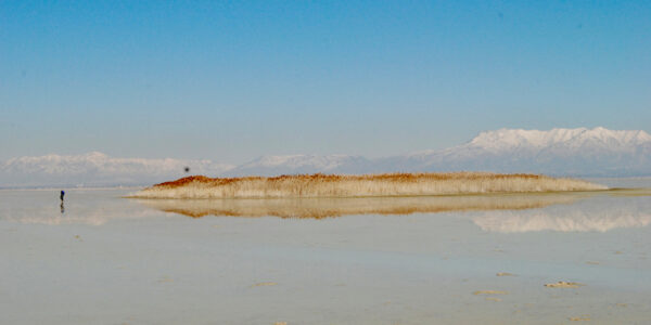 banner-image