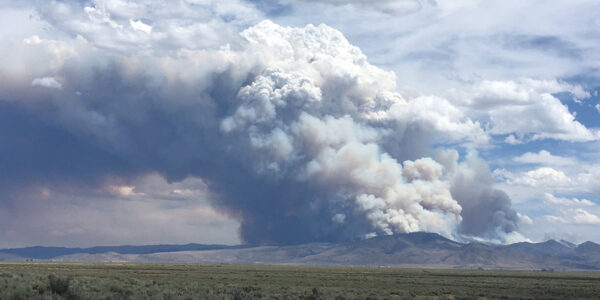 Wildfire smoke exacerbates ozone pollution