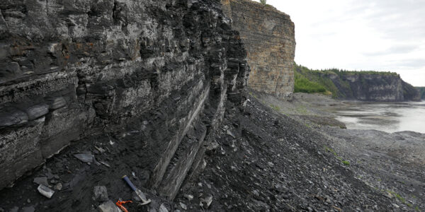 Oxygen came late to ocean depths during Paleozoic