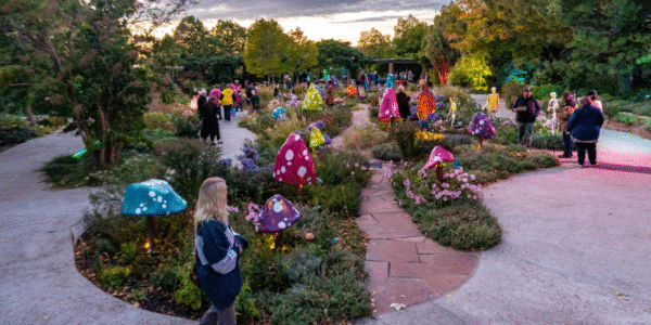 Fall fun is in the air at Red Butte Garden and Arboretum