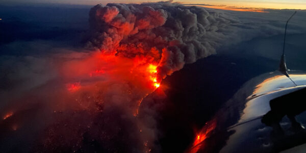 Industry-managed forests more likely to fuel megafires