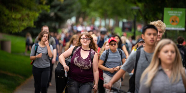 banner-image