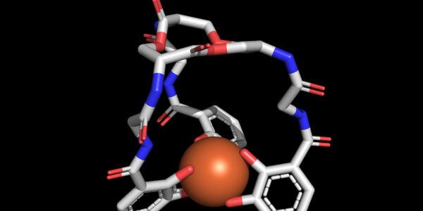 A molecule that enables microbes to eat methane