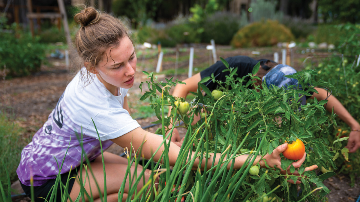 University releases annual Climate Action Plan updates