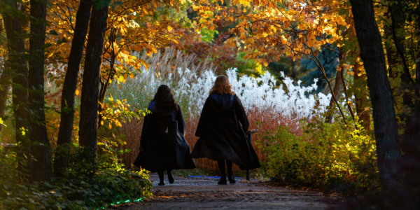Red Butte Garden announces 2025 Garden After Dark: Trouble in Oz