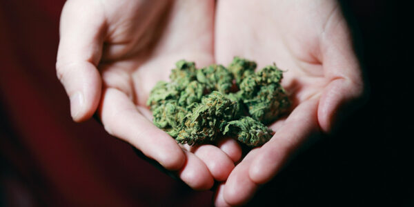 Why some medical cannabis patients use illegal products