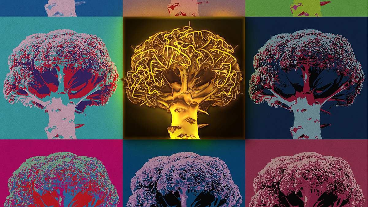 Golden Broccoli: U biochemists create first single-dyed ratiometric biosensor for glycine imaging
