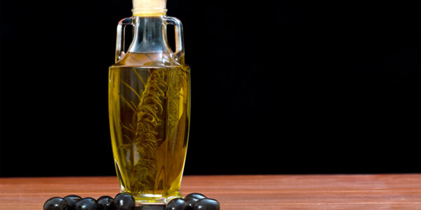 Mouse study reveals metabolic risks associated with ketogenic diet