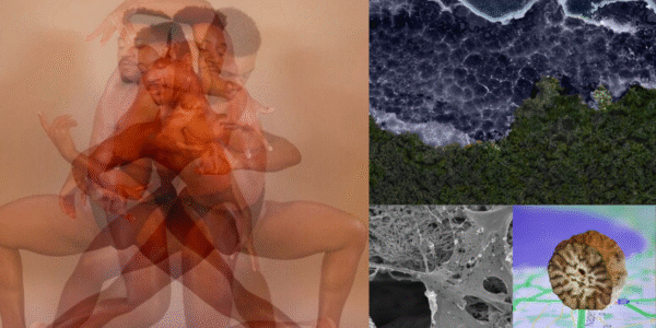 Capturing the Spark of Discovery: The Image of Research at the U