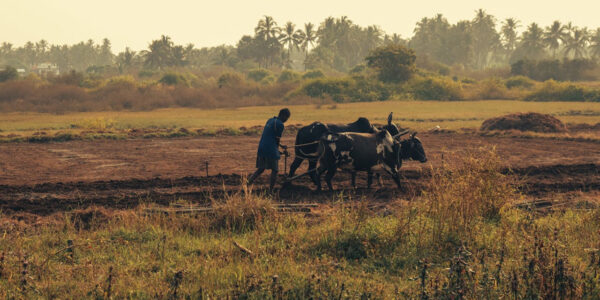 Conflict, climate change and public health