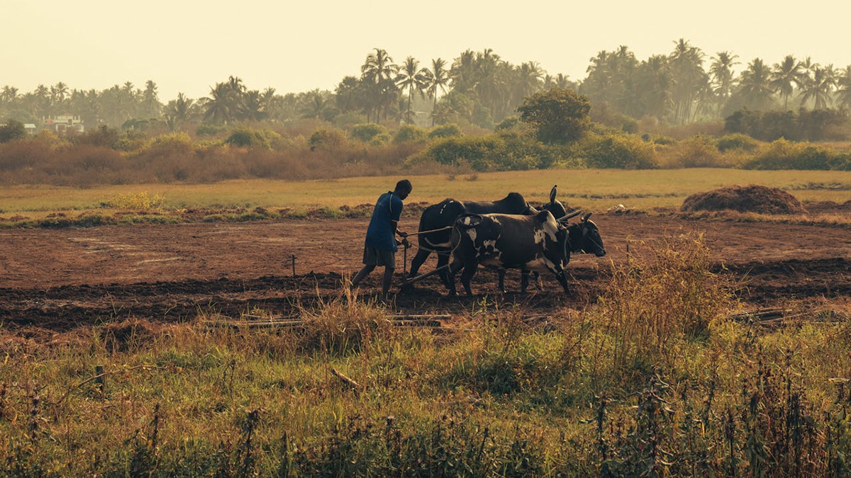 Conflict, climate change and public health