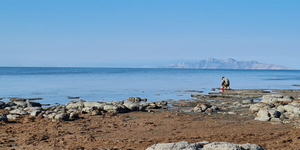 Great Salt Lake roundworm gets Shoshone name