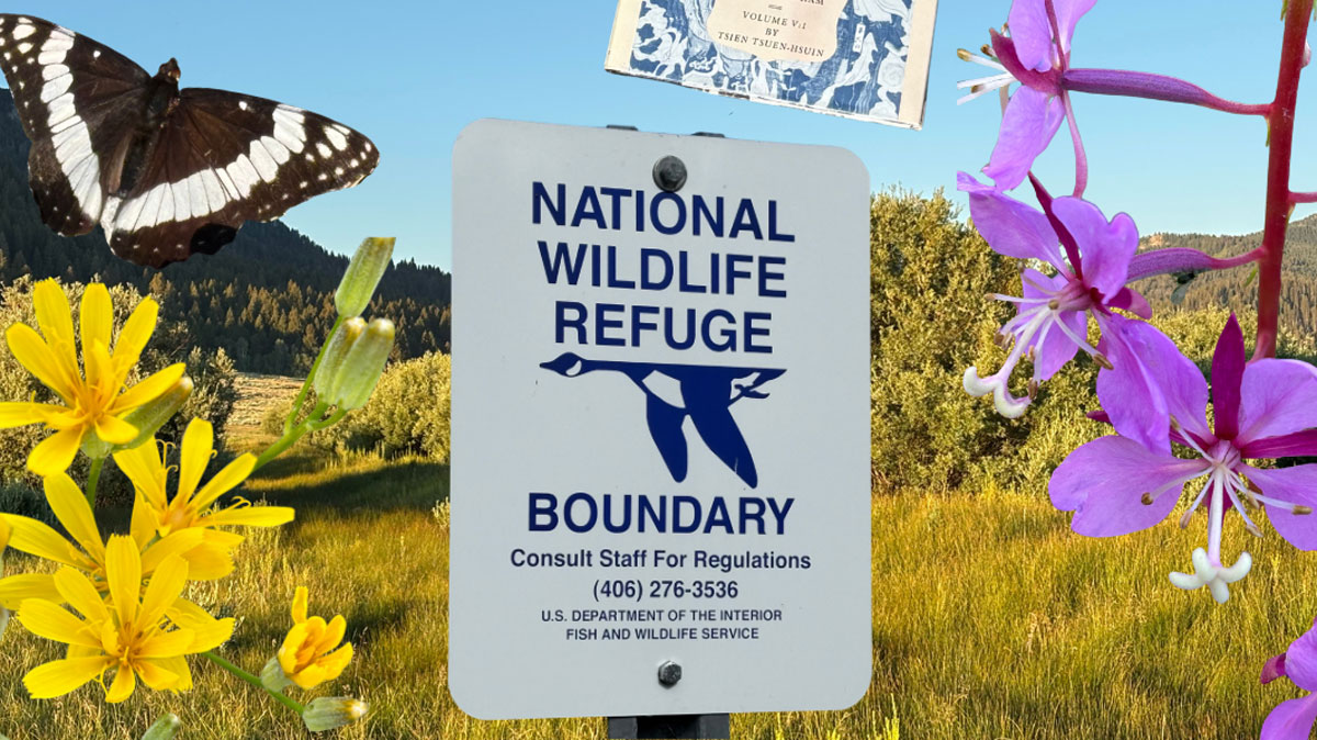 Rejuvenate, refocus and reconnect with research