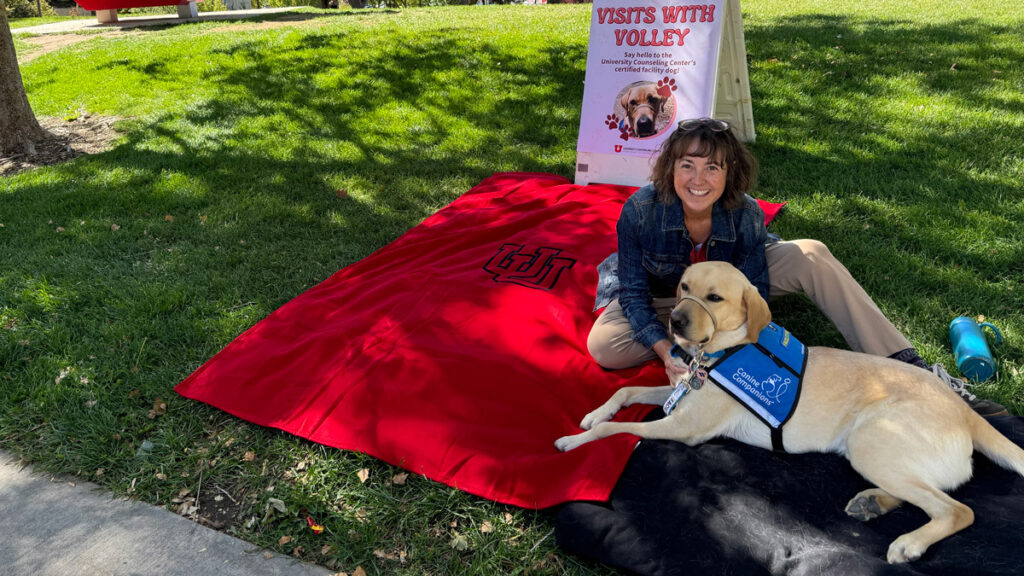 U for You: Get to know the Counseling Center