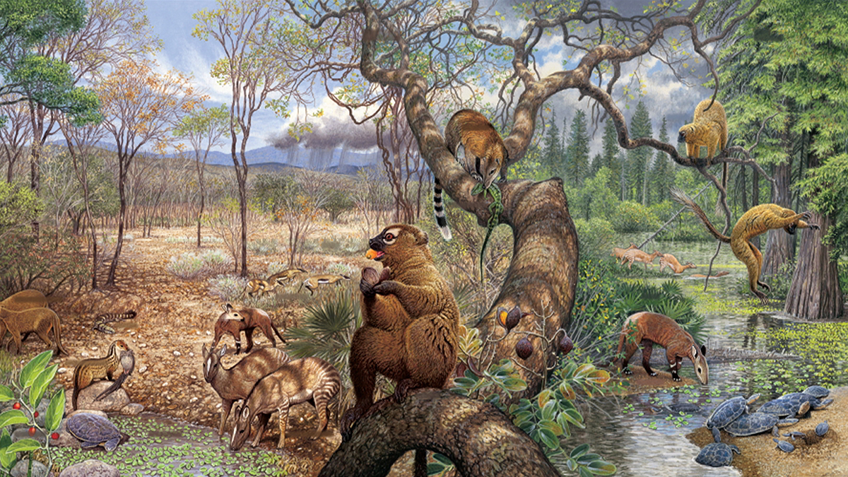 What past global warming reveals about future rainfall