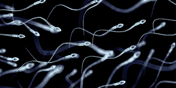 Scientists discover a hidden RNA ‘aging clock’ in human sperm