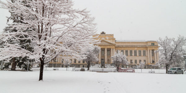 Preventative mental health care: Winter edition