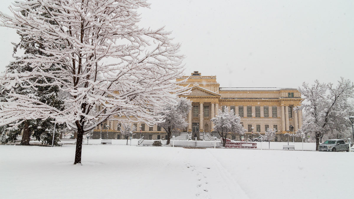 Preventative mental health care: Winter edition